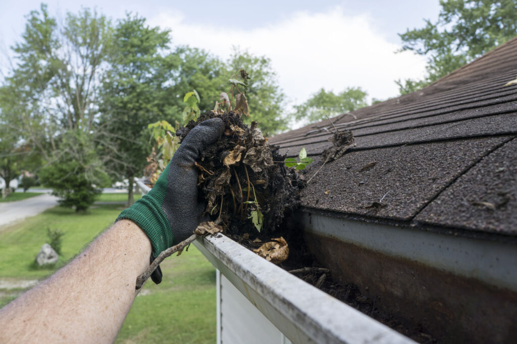 Gutter Maintenance